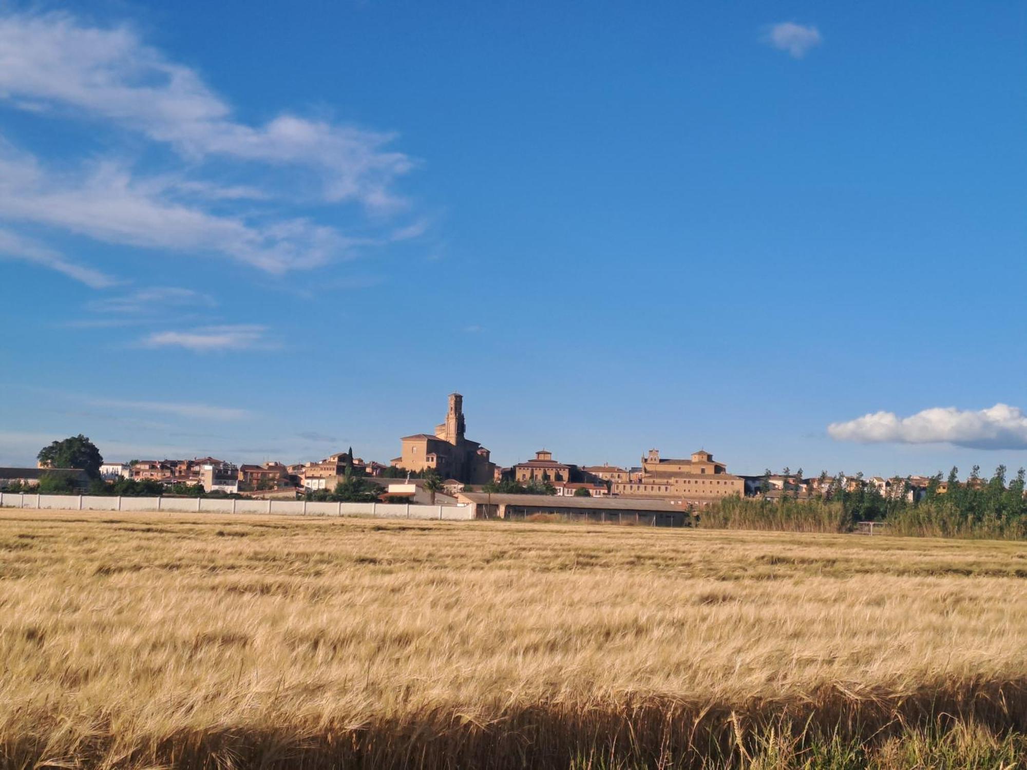 Apartamento Rural Isla Esencia De Bardenas Navarra Villafranca Luaran gambar